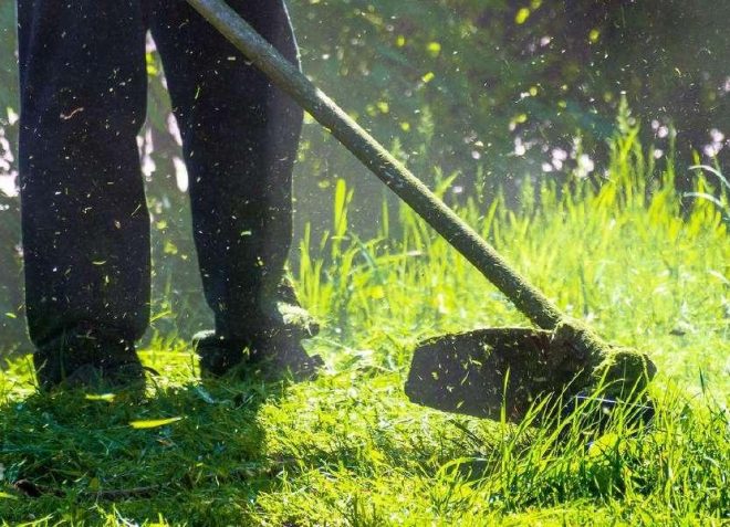 photo-first